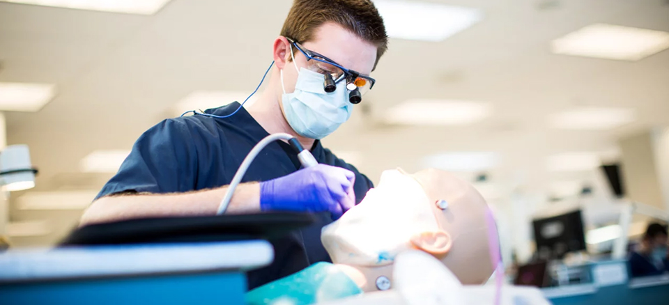 Knowing the Significance of Dental Shadowing: A Pathway to Dental School Admission in the US