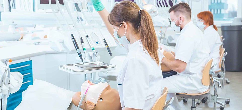 The Impact of GPA on Dental School Admissions: Unveiling the Connection